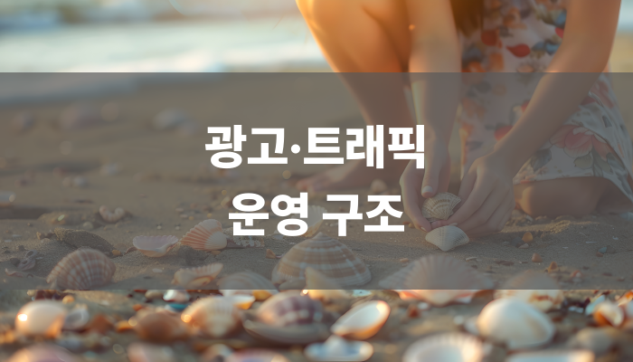 광고·트래픽 운영 구조