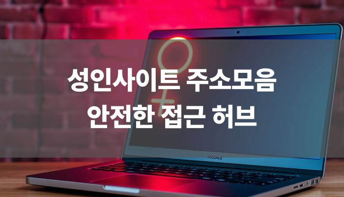 성인사이트 주소모음 안전한 접근 허브