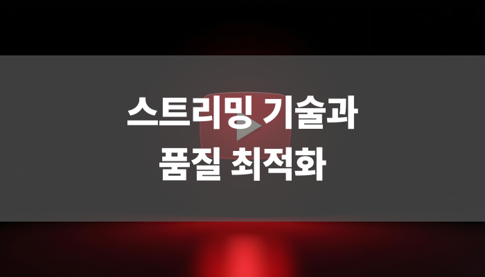 스트리밍 기술과 품질 최적화