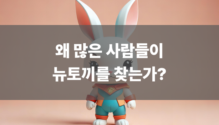 왜 많은 사람들이 뉴토끼를 찾는가