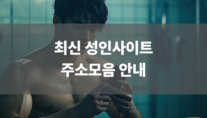 최신 성인사이트 주소모음 안내