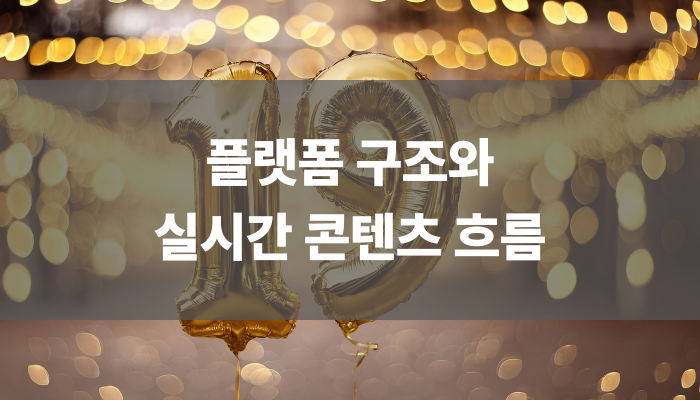 플랫폼 구조와 실시간 콘텐츠 흐름